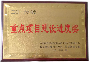 重點項目建設進度獎