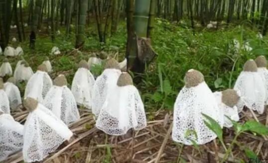 QQ截圖20220527161727.jpg QQ截圖20220527161727.jpg